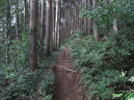20161014hike (62)